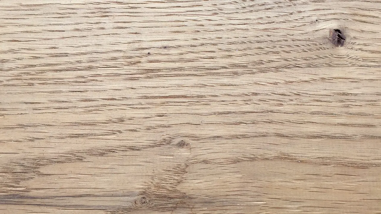 European Oak Feature